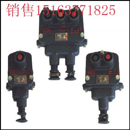 供应矿用隔爆型控制按扭 